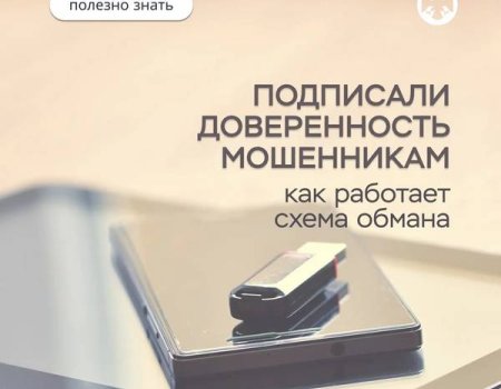 Разбираем мошенническую схему обмана с доверенностью на Госуслугах
